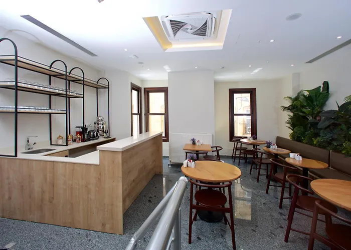 酒店 Joy Taksim 3*