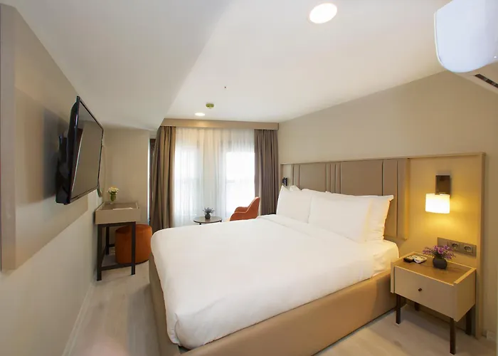 ホテル Joy Taksim 3*